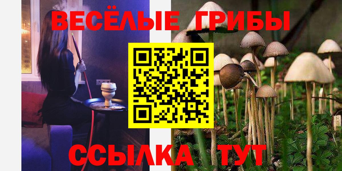 Псилоцибиновые грибы GOLDEN TEACHER  Вход с VPN  Ухта 